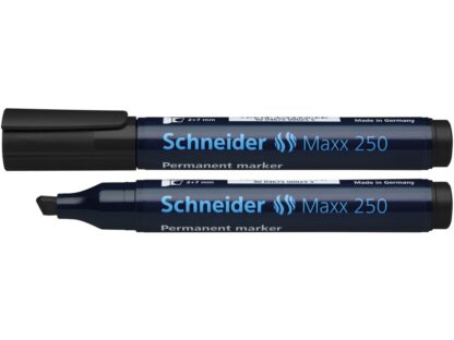 Marqueur permanent Schneider 250 2-7 mm