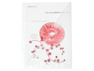 Pochette plastique Standard Double Ouverture A4