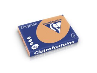 Papier de couleur A3 80g/mp couleurs pastel 500/crème Clairefontaine