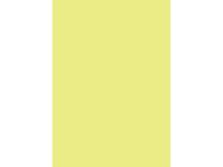 Papier A3 80g/mp couleur pal 500/top