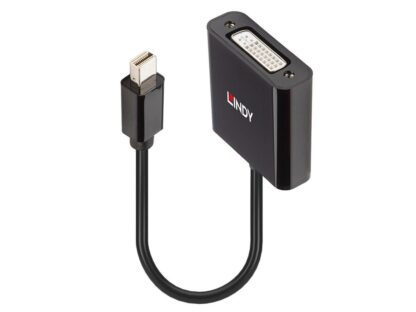 Lindy Mini DisplayPort vers DVI Convertisseur actif, 5.4Gbps – Image 2