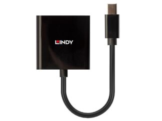 Lindy Mini DisplayPort vers DVI Convertisseur actif, 5.4Gbps