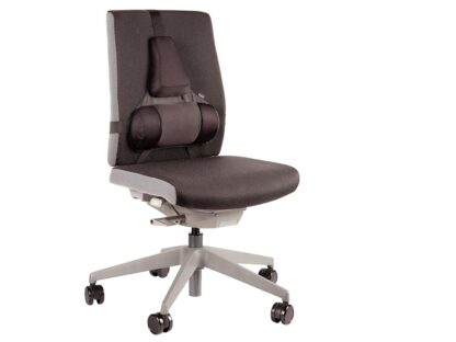 Pro Series Ultimate Back Support Fellows – Image 2