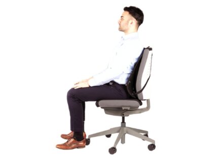 Support dorsal professionnel en maille Fellowes – Image 3